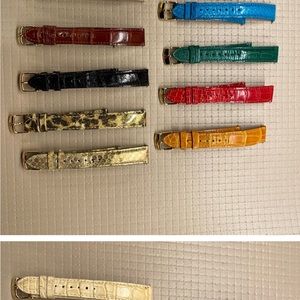 8 Michele Watchbands